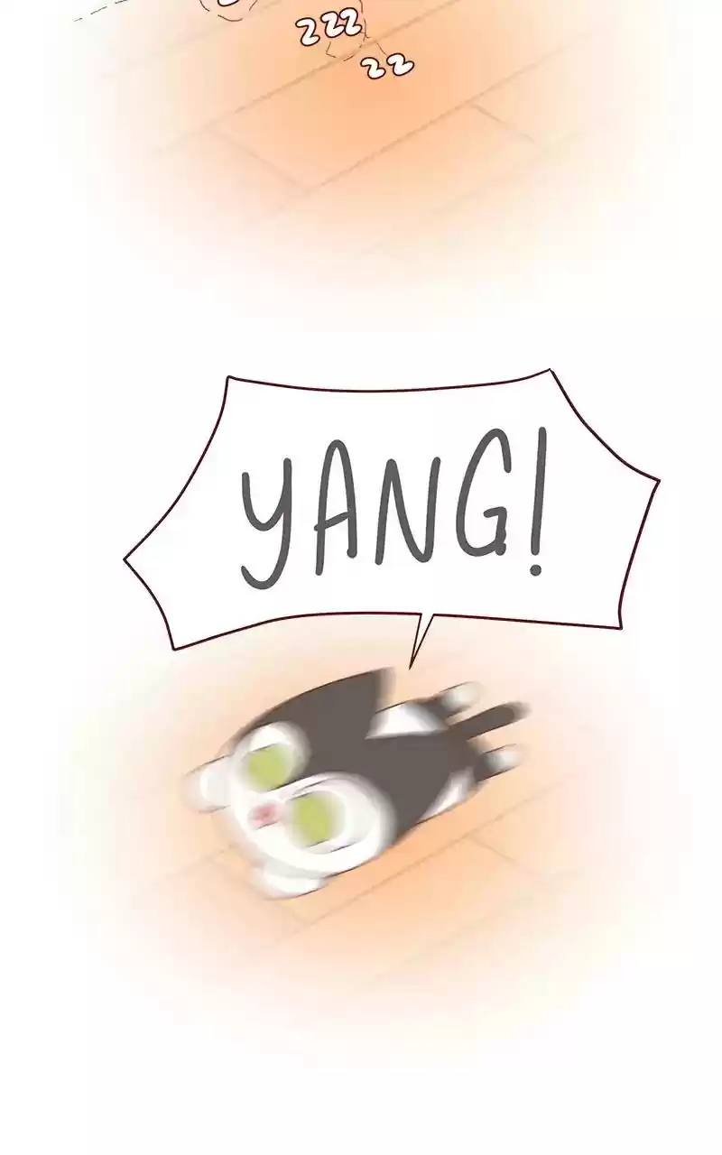 Saphie: The One-Eyed Cat Chapter 260: