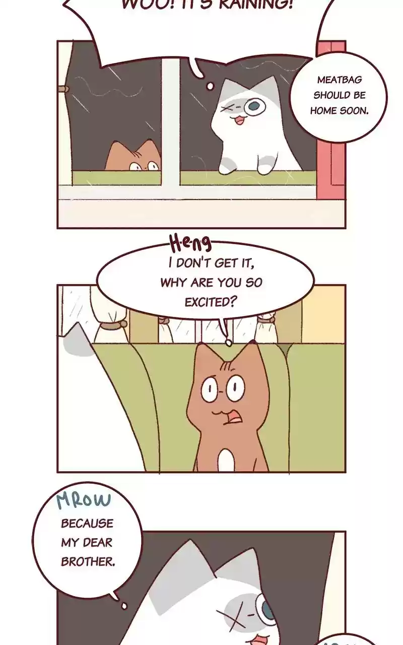 Saphie: The One-Eyed Cat Chapter 261: