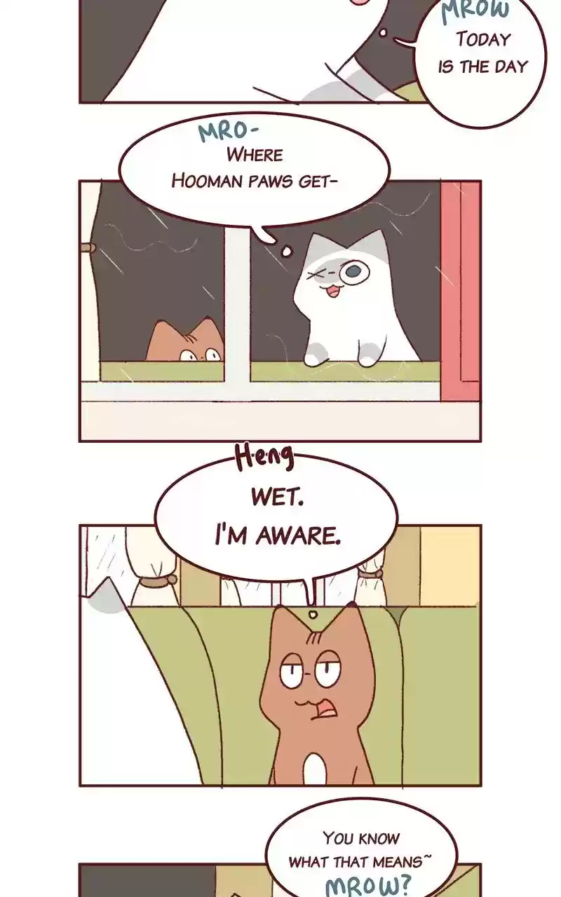 Saphie: The One-Eyed Cat Chapter 261: