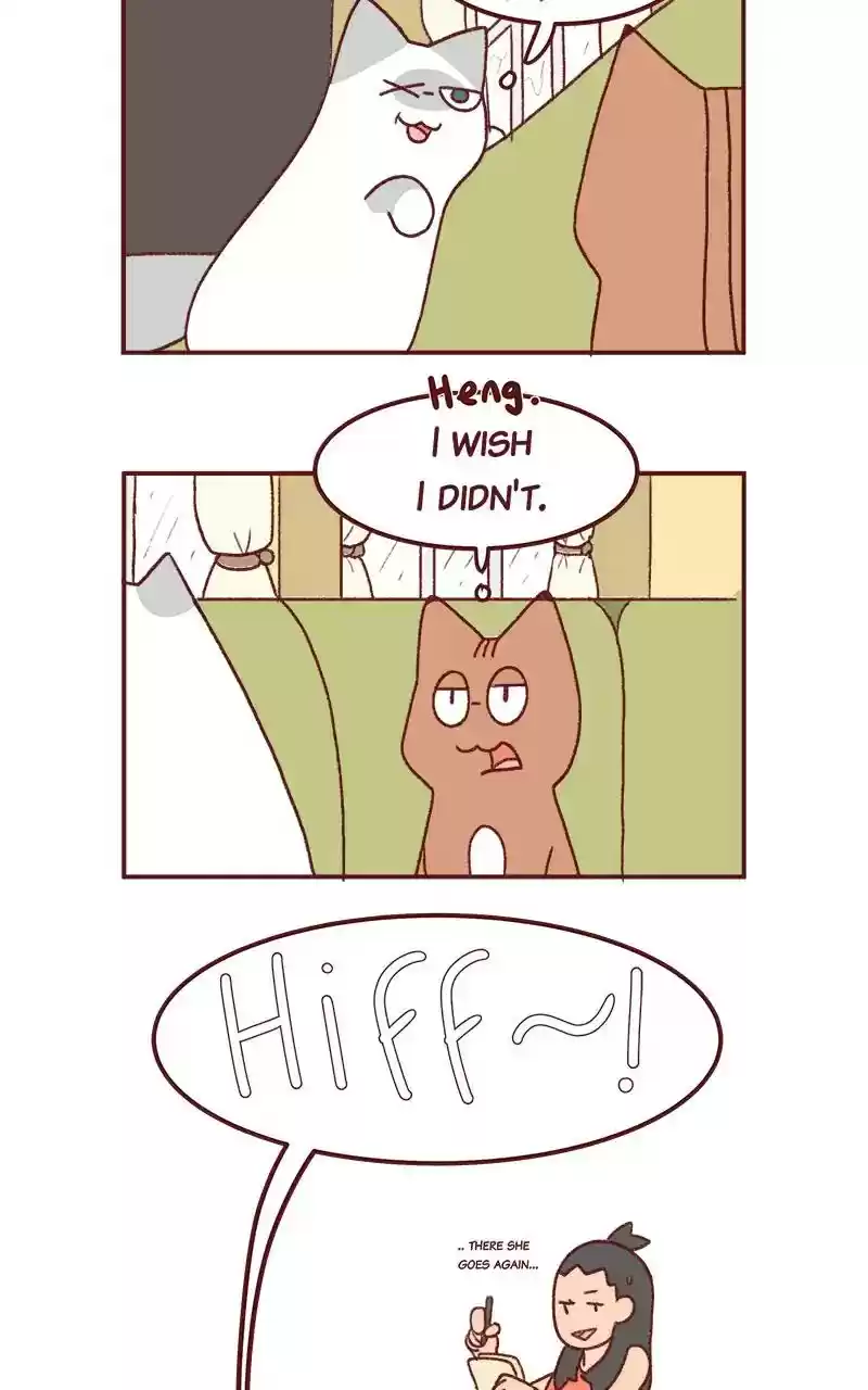 Saphie: The One-Eyed Cat Chapter 261: