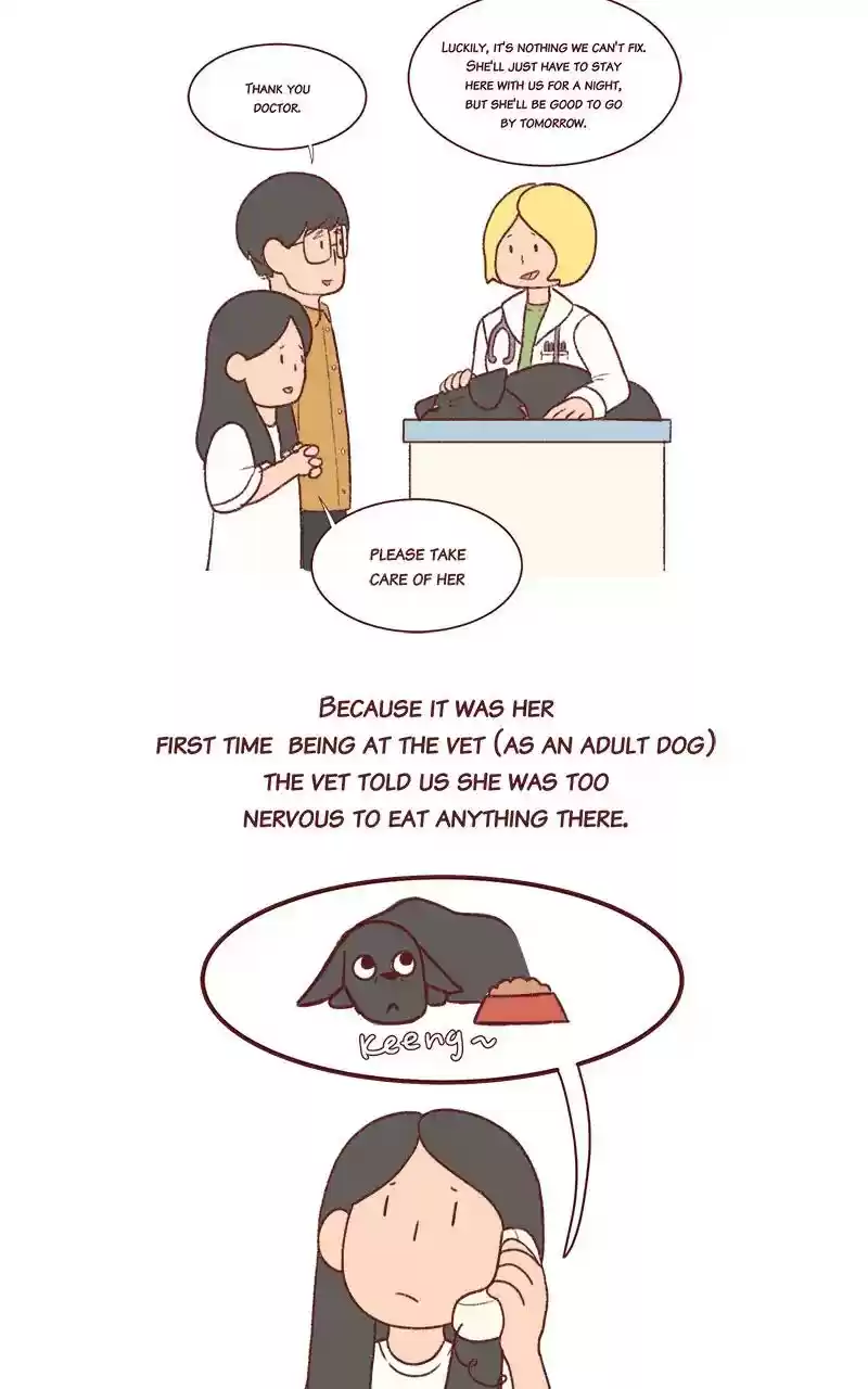 Saphie: The One-Eyed Cat Chapter 262: