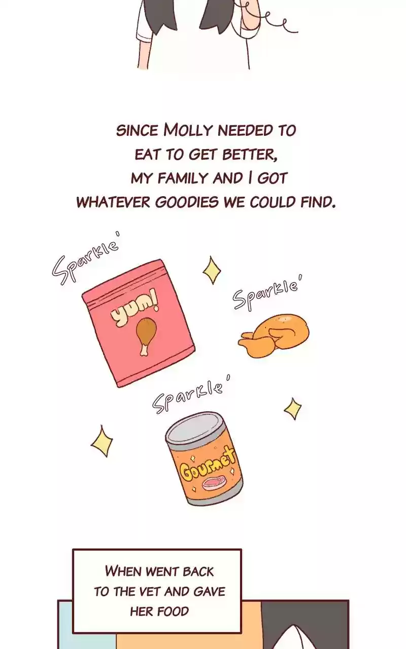 Saphie: The One-Eyed Cat Chapter 262: