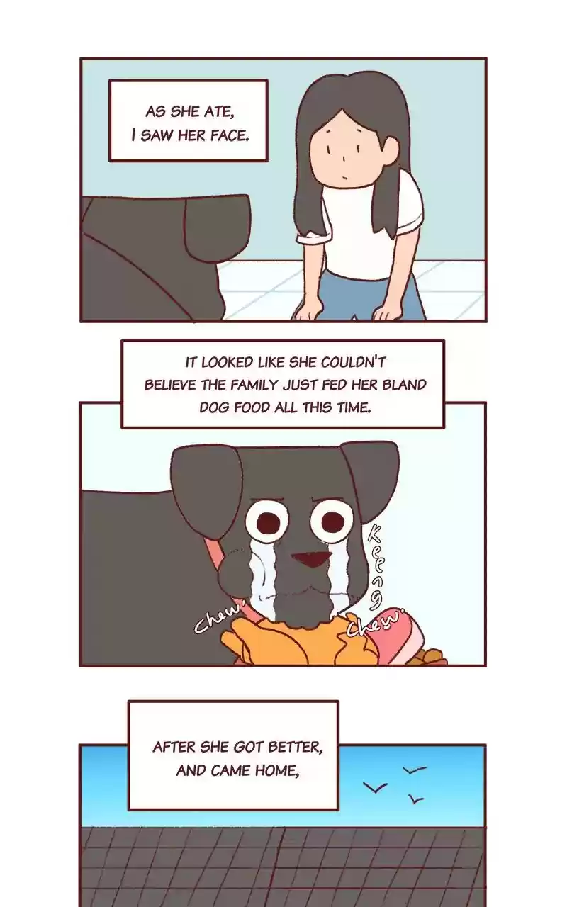 Saphie: The One-Eyed Cat Chapter 262: