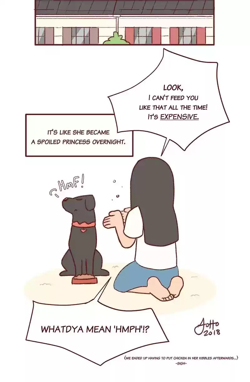 Saphie: The One-Eyed Cat Chapter 262: