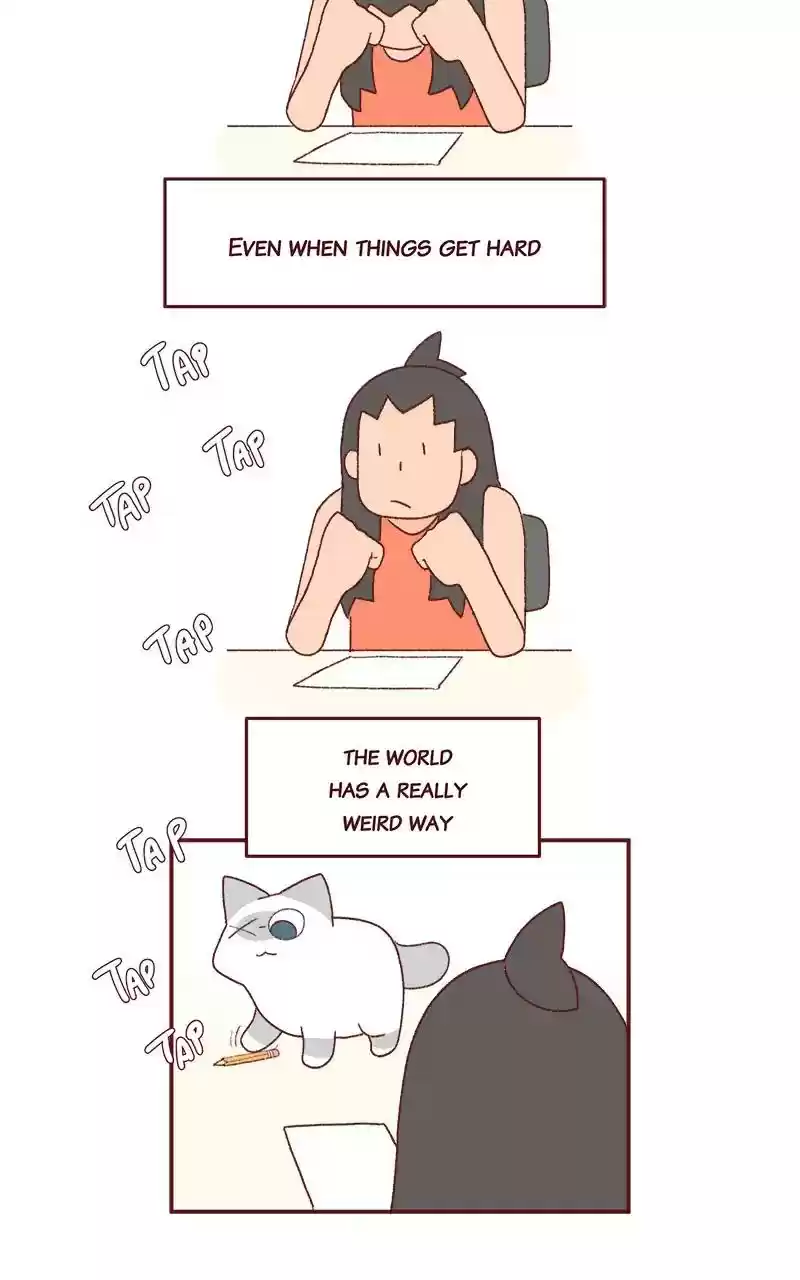 Saphie: The One-Eyed Cat Chapter 263: