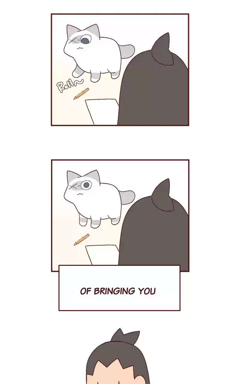 Saphie: The One-Eyed Cat Chapter 263: