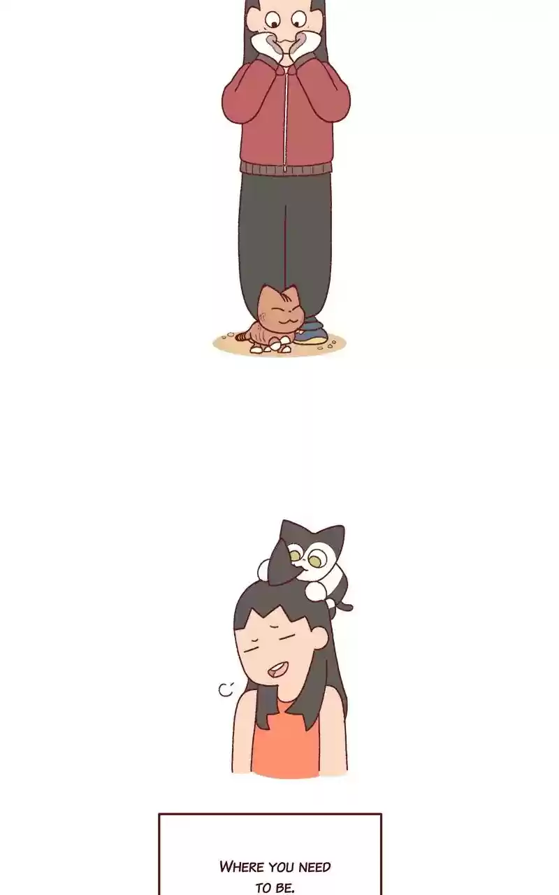 Saphie: The One-Eyed Cat Chapter 263: