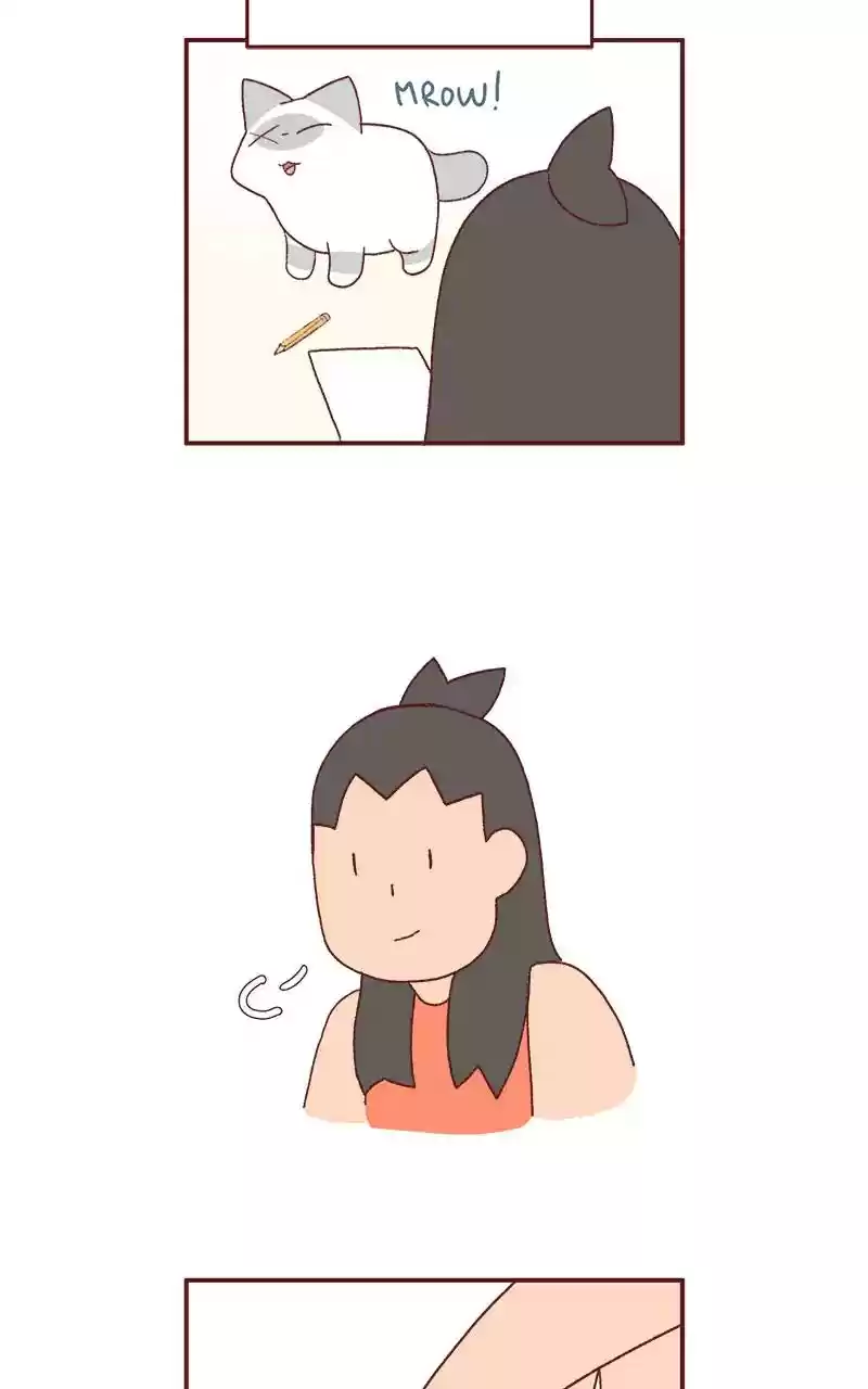 Saphie: The One-Eyed Cat Chapter 263: