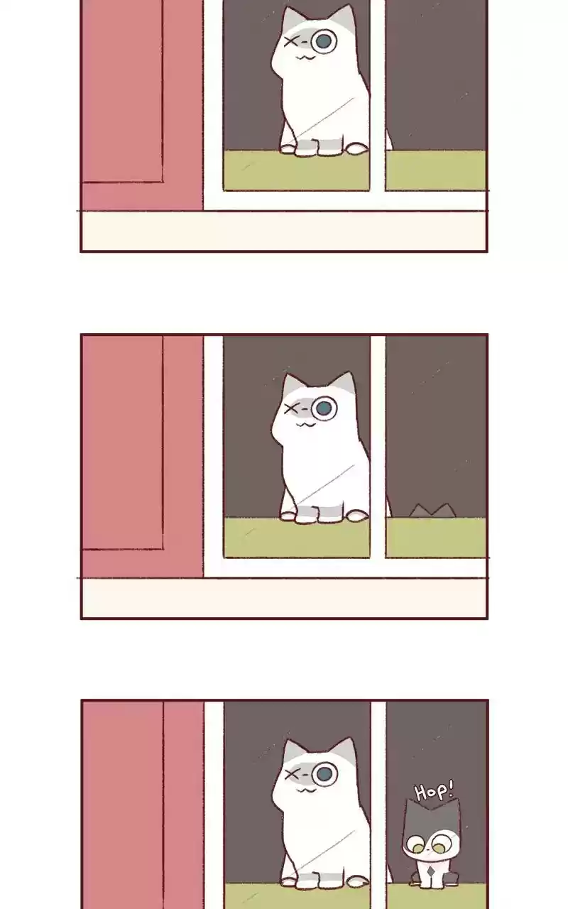 Saphie: The One-Eyed Cat Chapter 264: