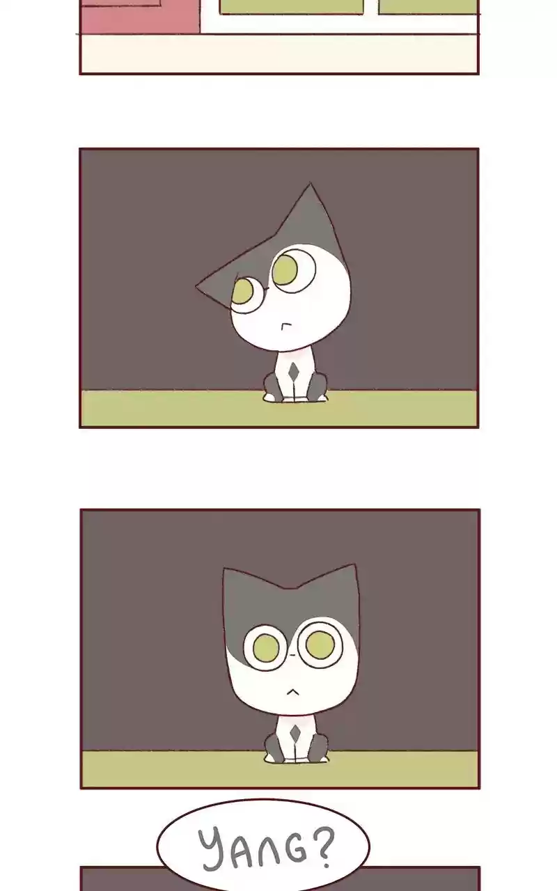 Saphie: The One-Eyed Cat Chapter 264: