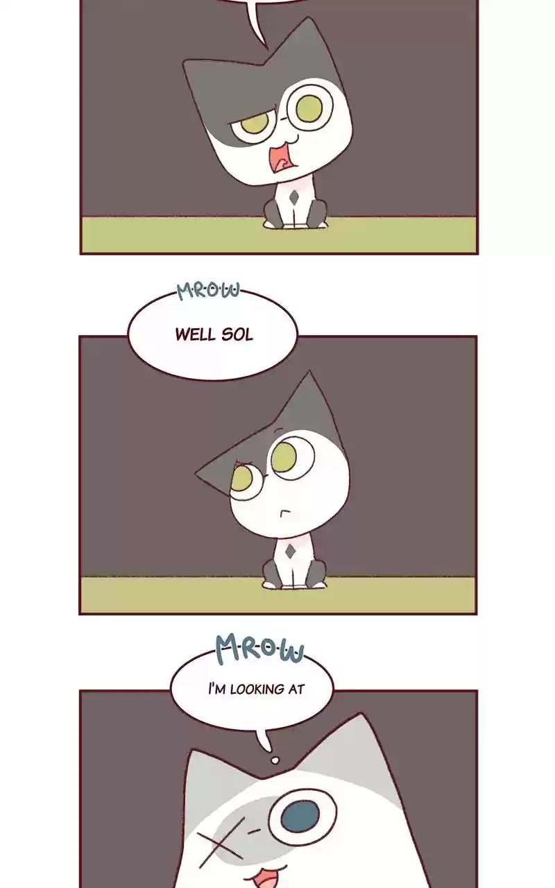 Saphie: The One-Eyed Cat Chapter 264: