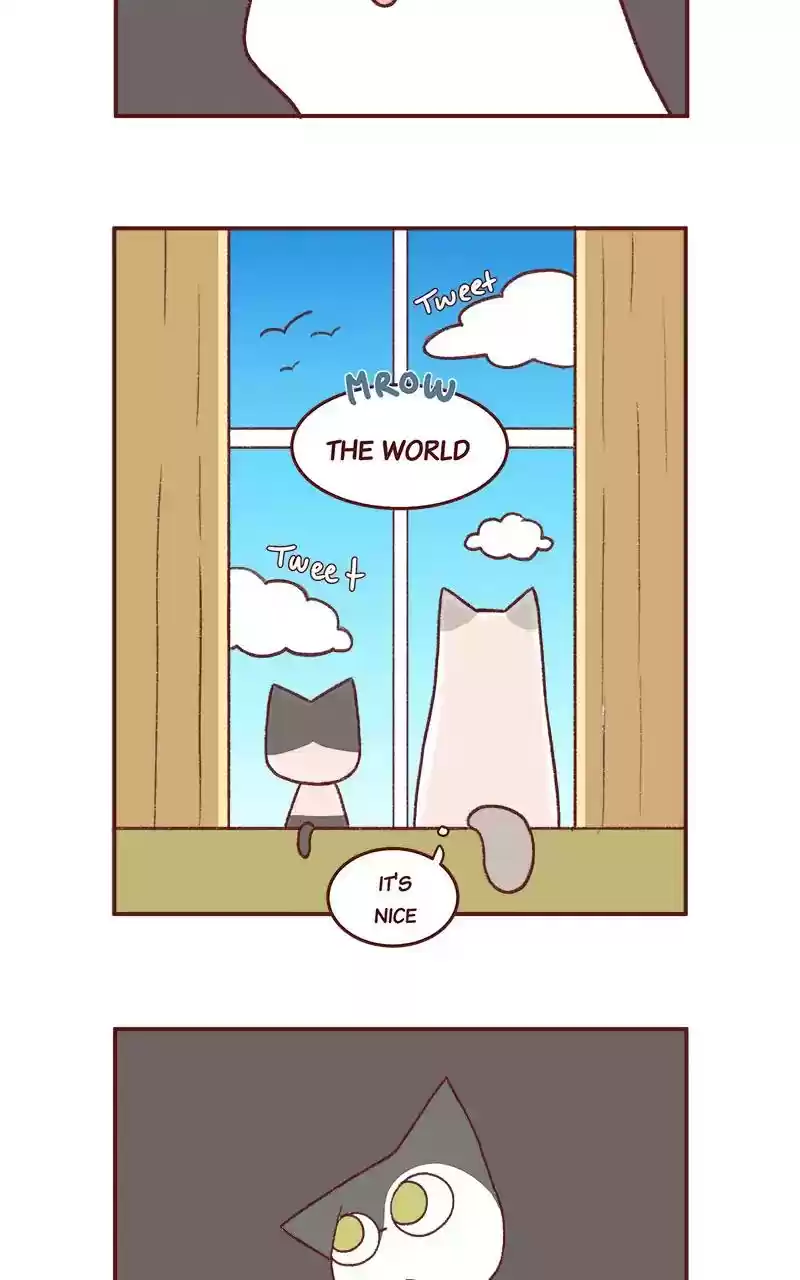 Saphie: The One-Eyed Cat Chapter 264: