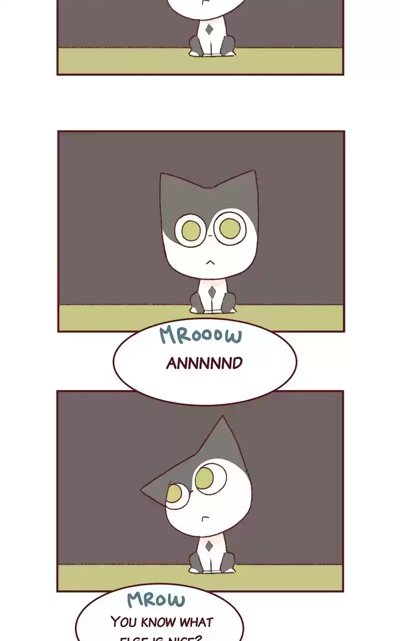 Saphie: The One-Eyed Cat Chapter 264: