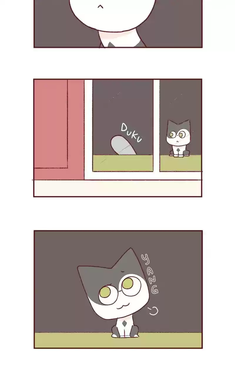 Saphie: The One-Eyed Cat Chapter 264: