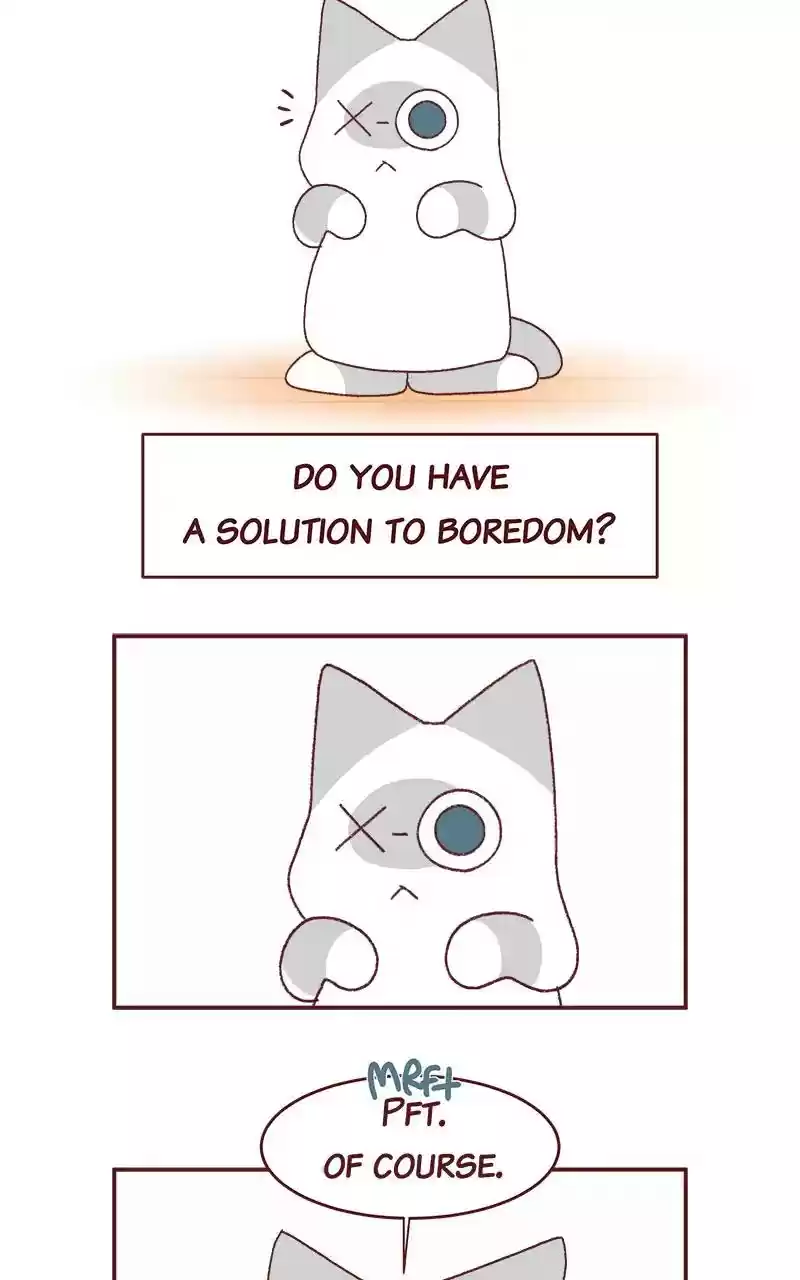 Saphie: The One-Eyed Cat Chapter 265: