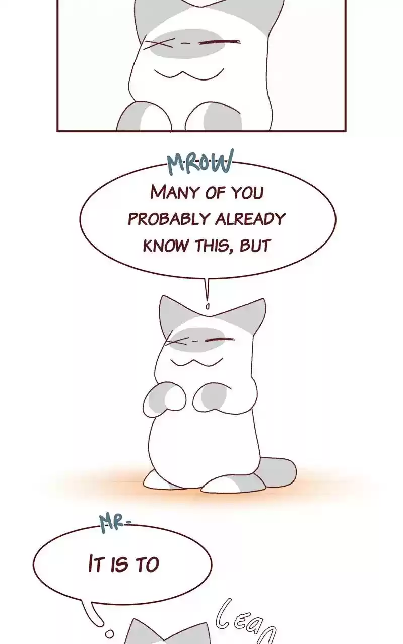 Saphie: The One-Eyed Cat Chapter 265: