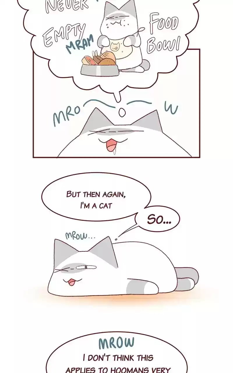 Saphie: The One-Eyed Cat Chapter 265: