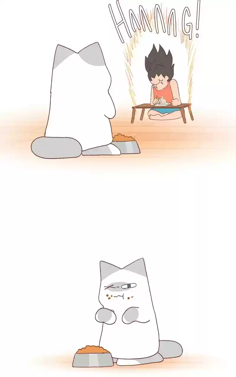 Saphie: The One-Eyed Cat Chapter 267: