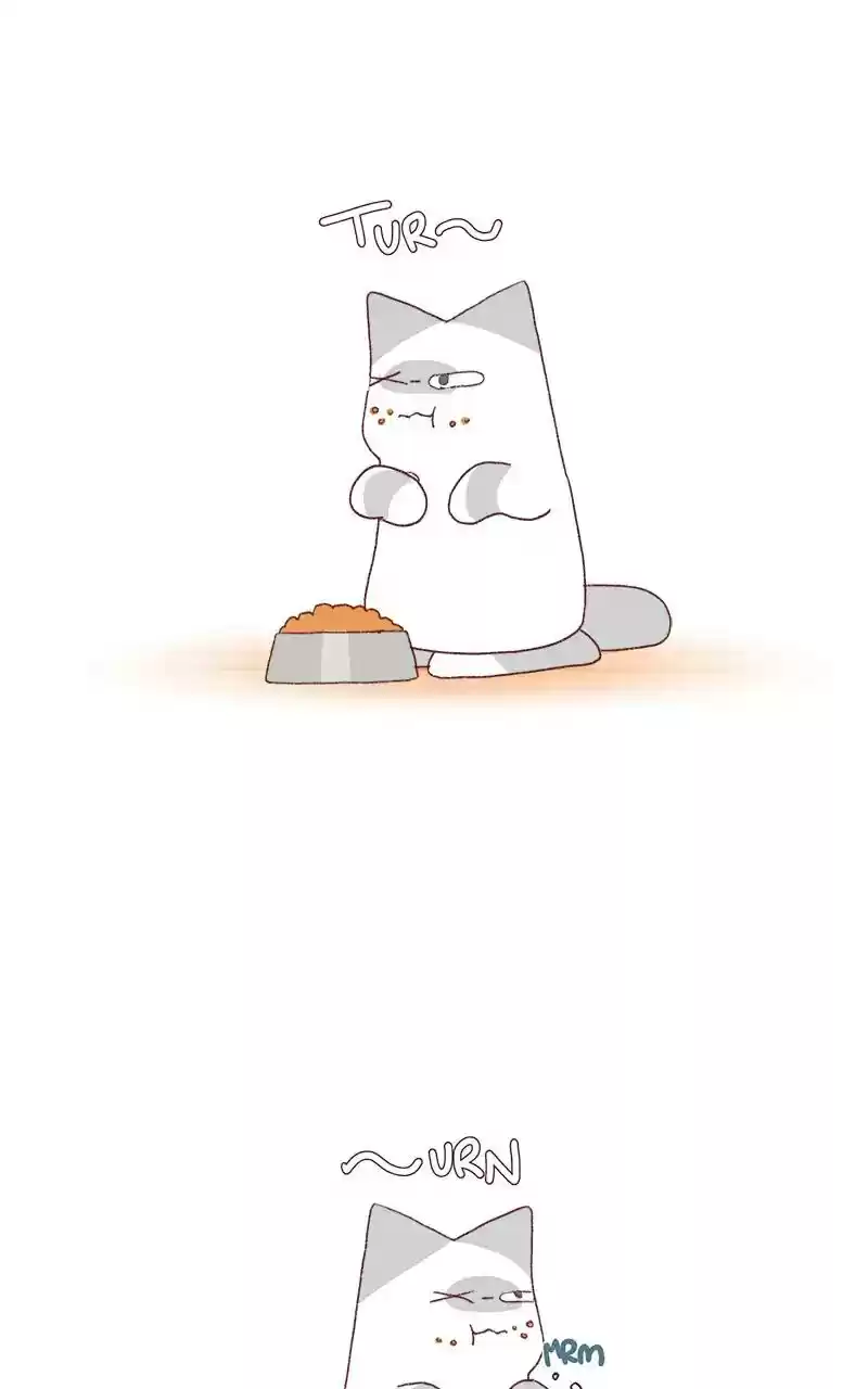 Saphie: The One-Eyed Cat Chapter 267: