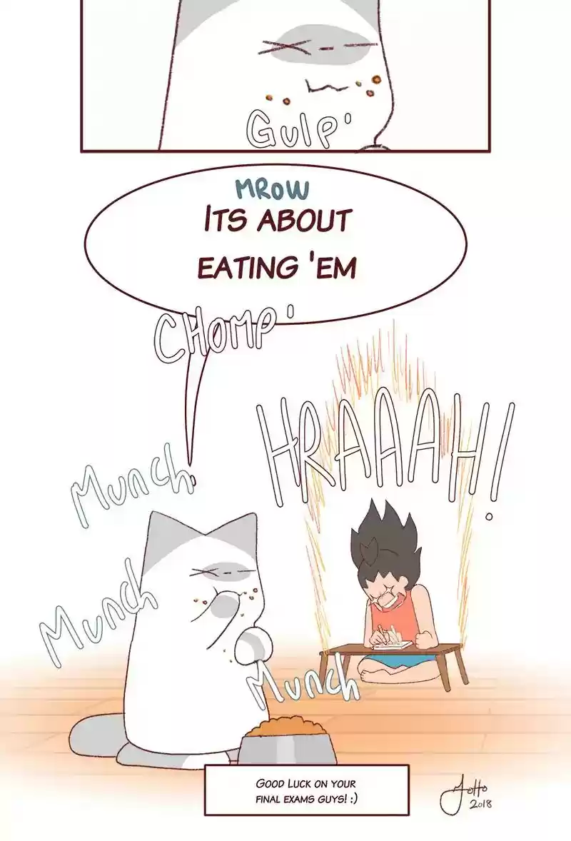 Saphie: The One-Eyed Cat Chapter 267: