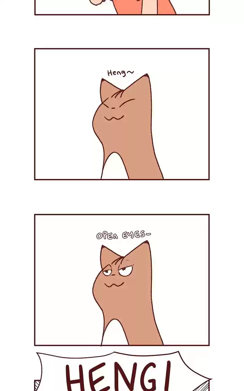 Saphie: The One-Eyed Cat Chapter 268: