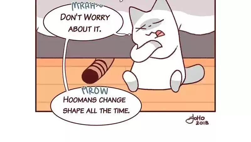 Saphie: The One-Eyed Cat Chapter 268: