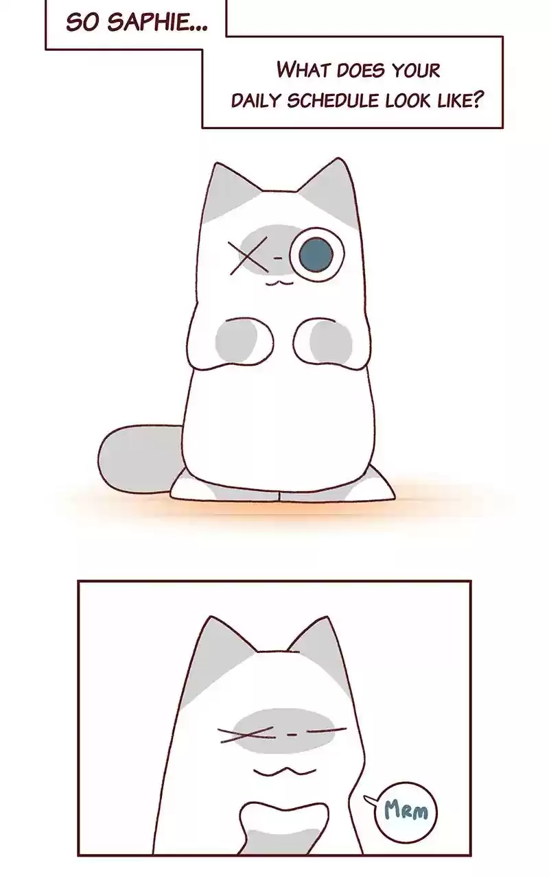 Saphie: The One-Eyed Cat Chapter 269: