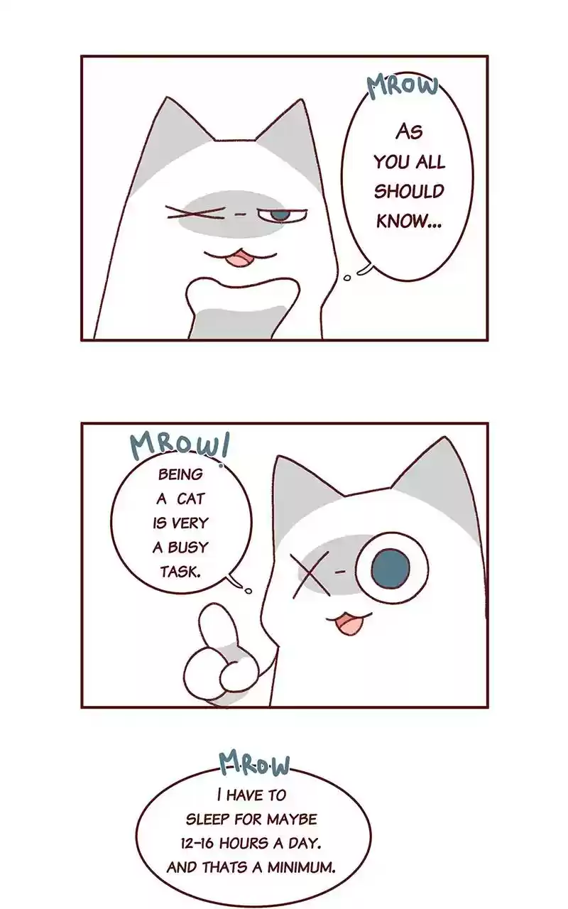 Saphie: The One-Eyed Cat Chapter 269: