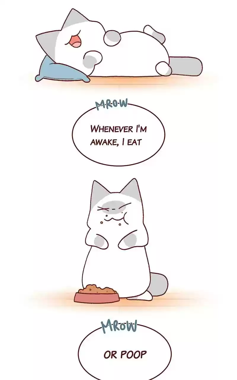 Saphie: The One-Eyed Cat Chapter 269: