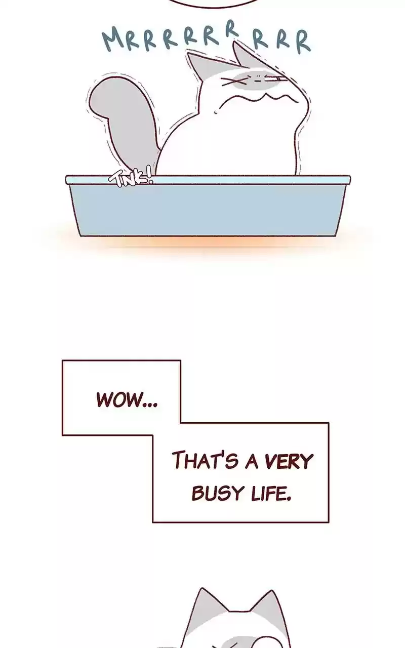 Saphie: The One-Eyed Cat Chapter 269: