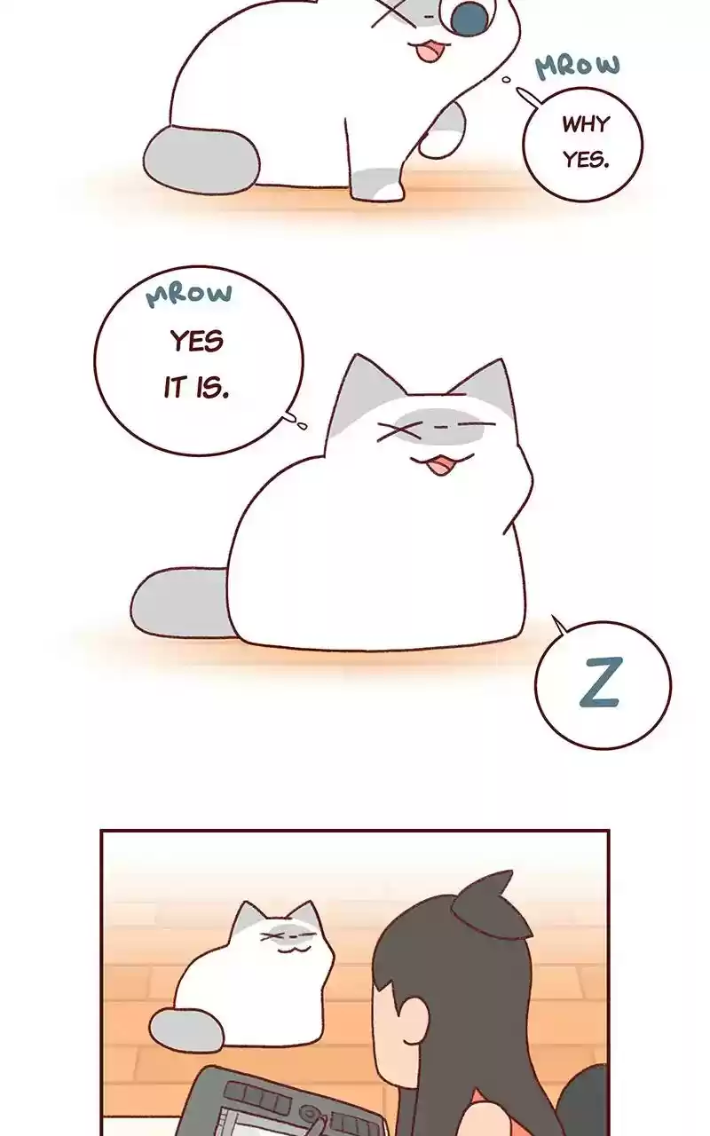 Saphie: The One-Eyed Cat Chapter 269: