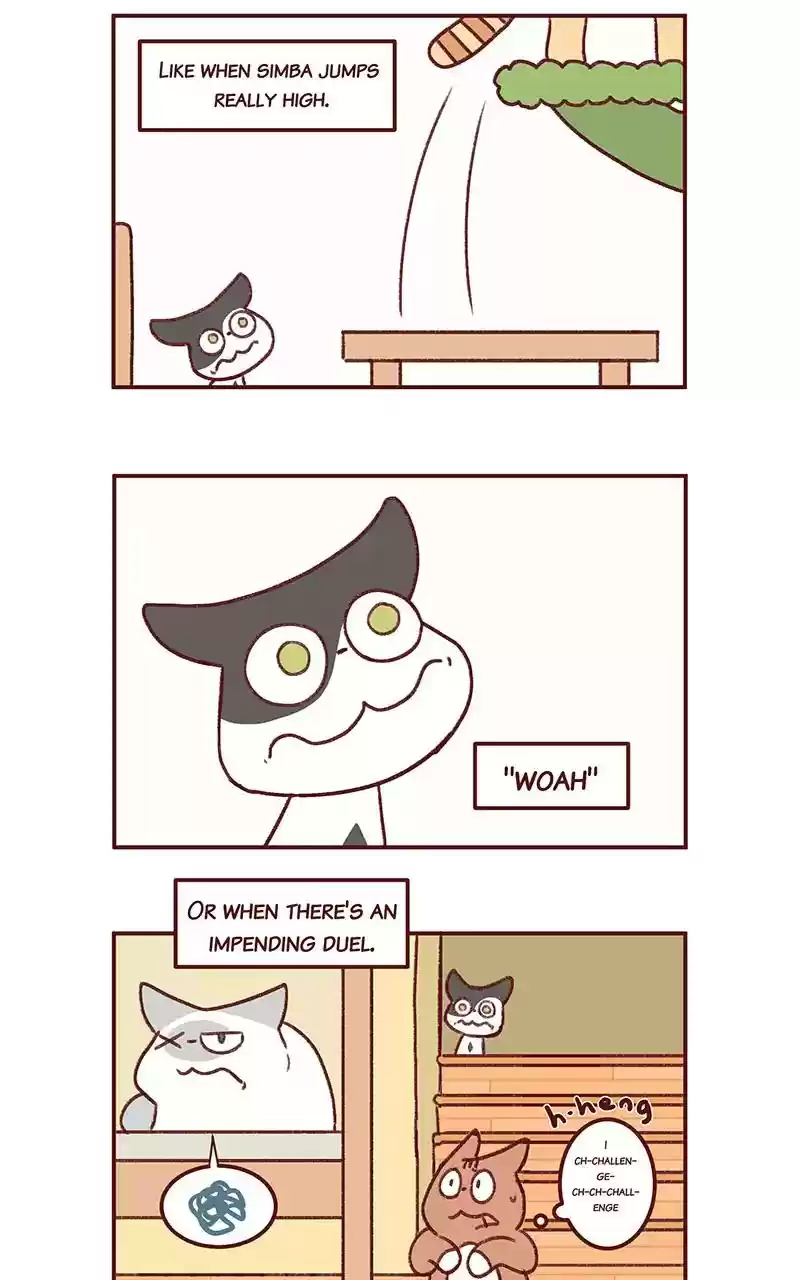 Saphie: The One-Eyed Cat Chapter 271: