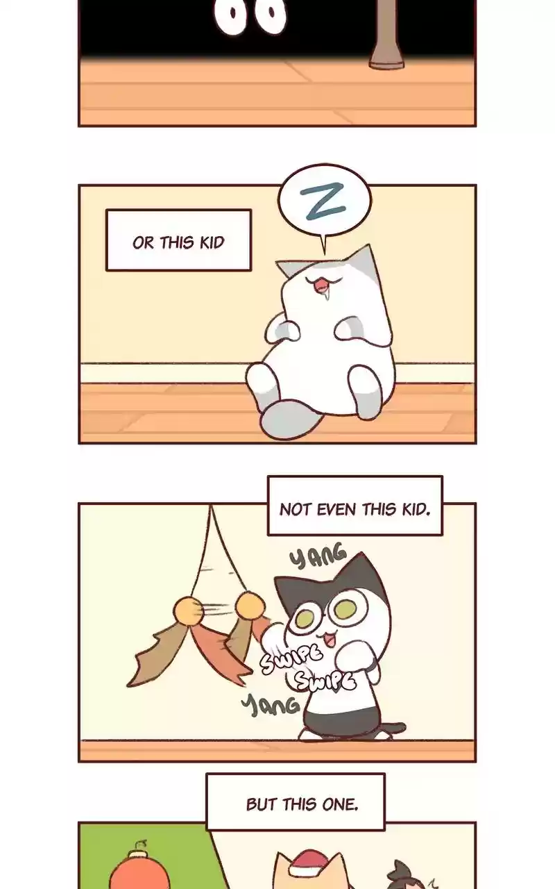 Saphie: The One-Eyed Cat Chapter 273: