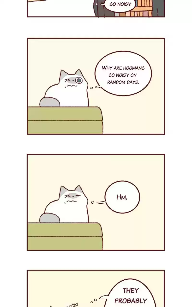 Saphie: The One-Eyed Cat Chapter 275: