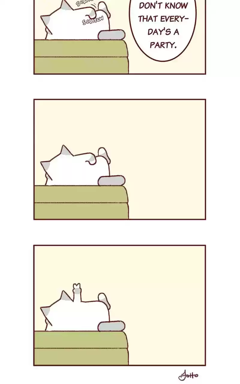 Saphie: The One-Eyed Cat Chapter 275: