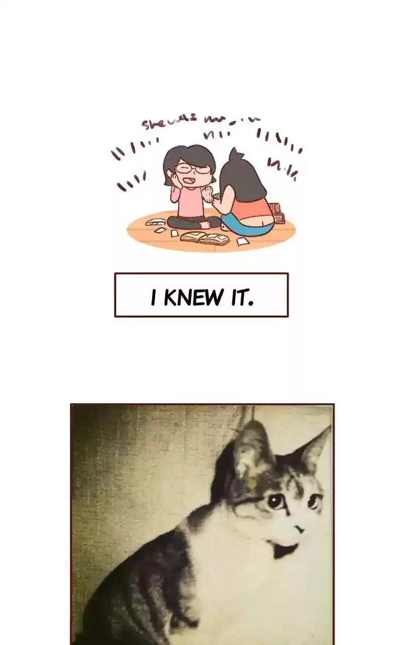 Saphie: The One-Eyed Cat Chapter 276: