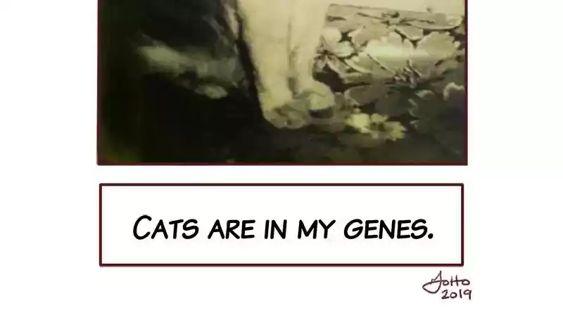 Saphie: The One-Eyed Cat Chapter 276: