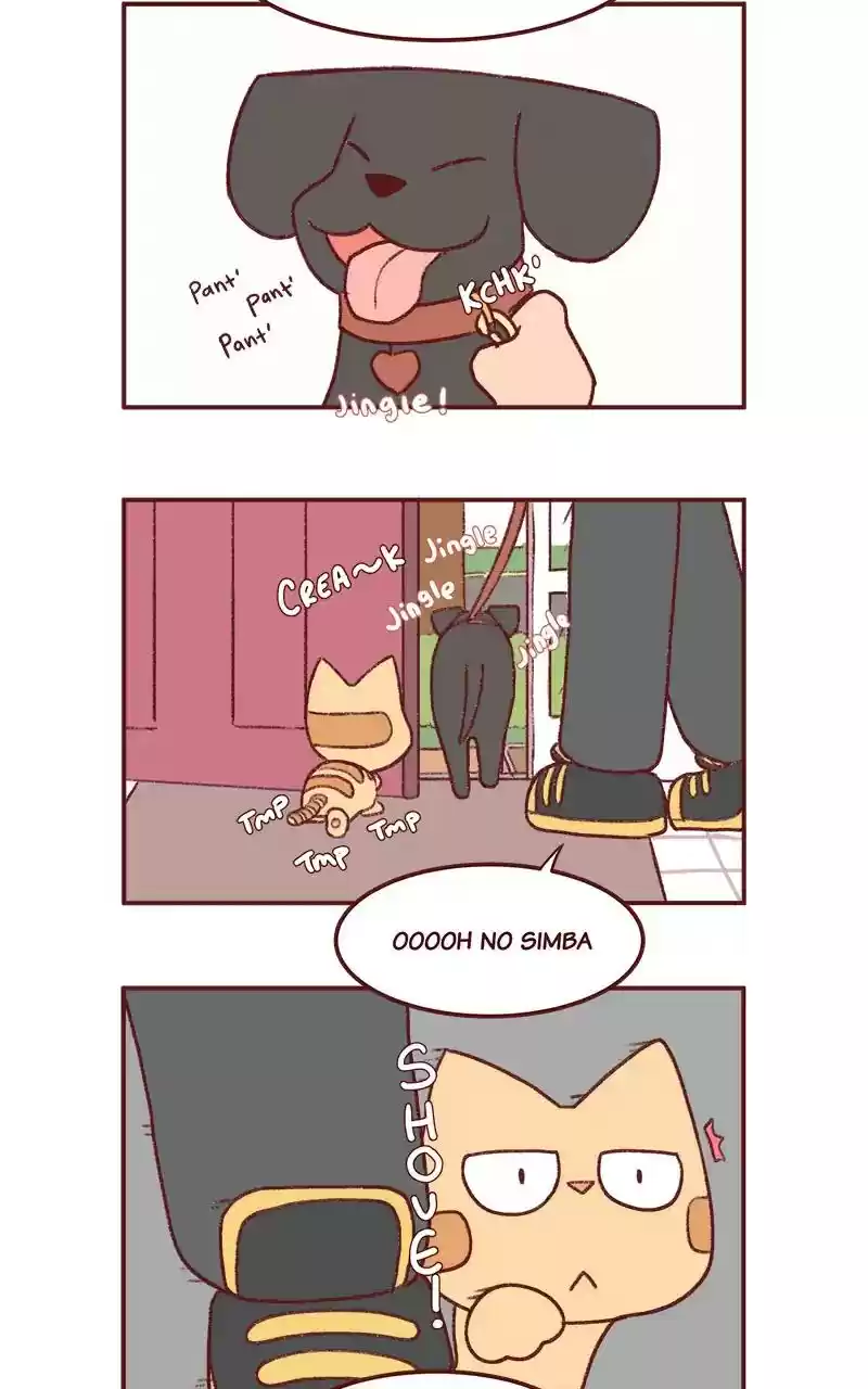 Saphie: The One-Eyed Cat Chapter 277: