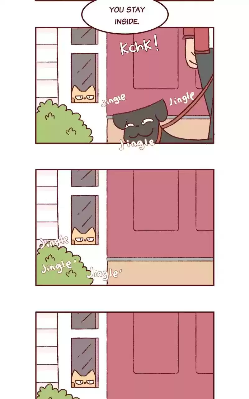 Saphie: The One-Eyed Cat Chapter 277: