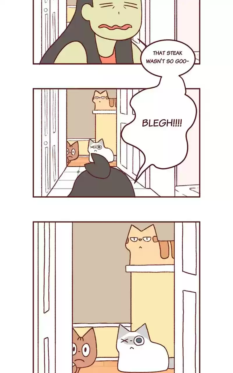 Saphie: The One-Eyed Cat Chapter 278: