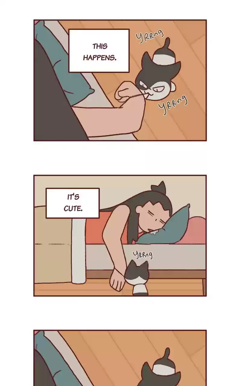 Saphie: The One-Eyed Cat Chapter 279: