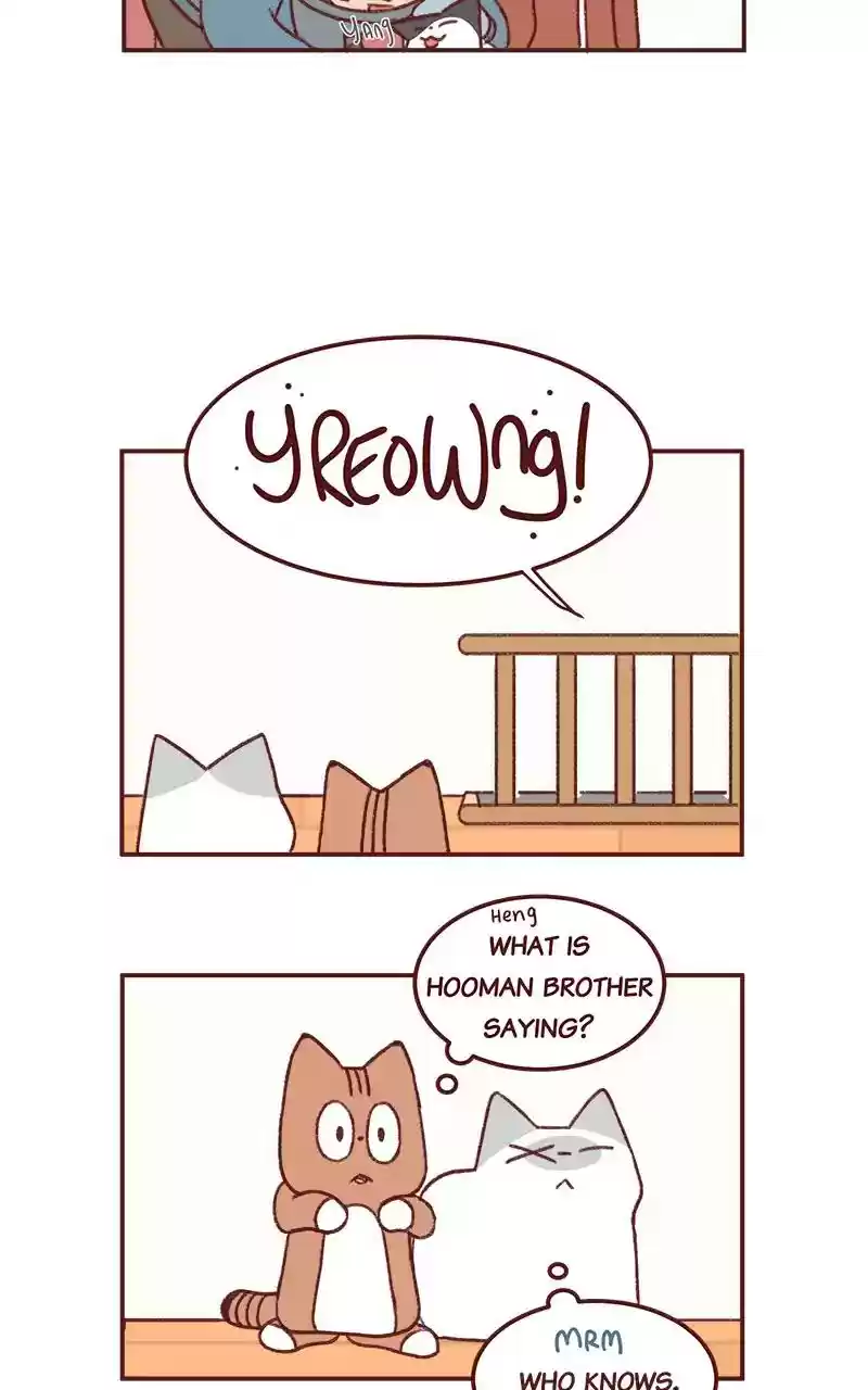 Saphie: The One-Eyed Cat Chapter 280: