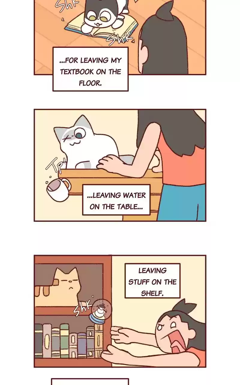 Saphie: The One-Eyed Cat Chapter 281: