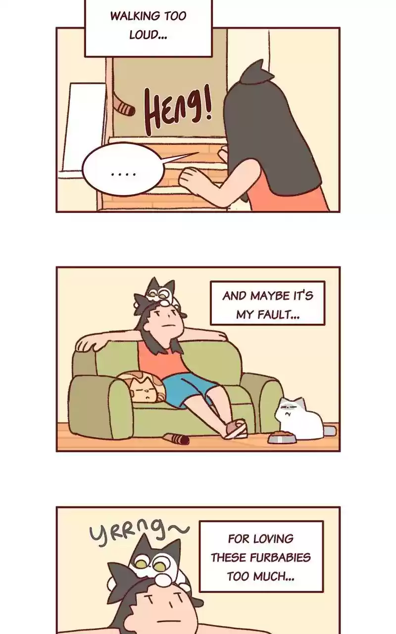 Saphie: The One-Eyed Cat Chapter 281: