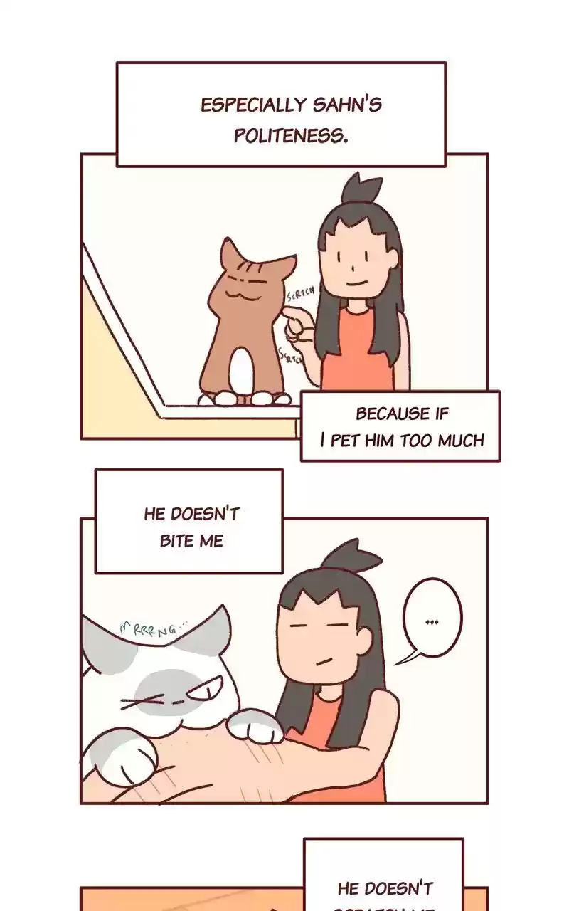 Saphie: The One-Eyed Cat Chapter 282: