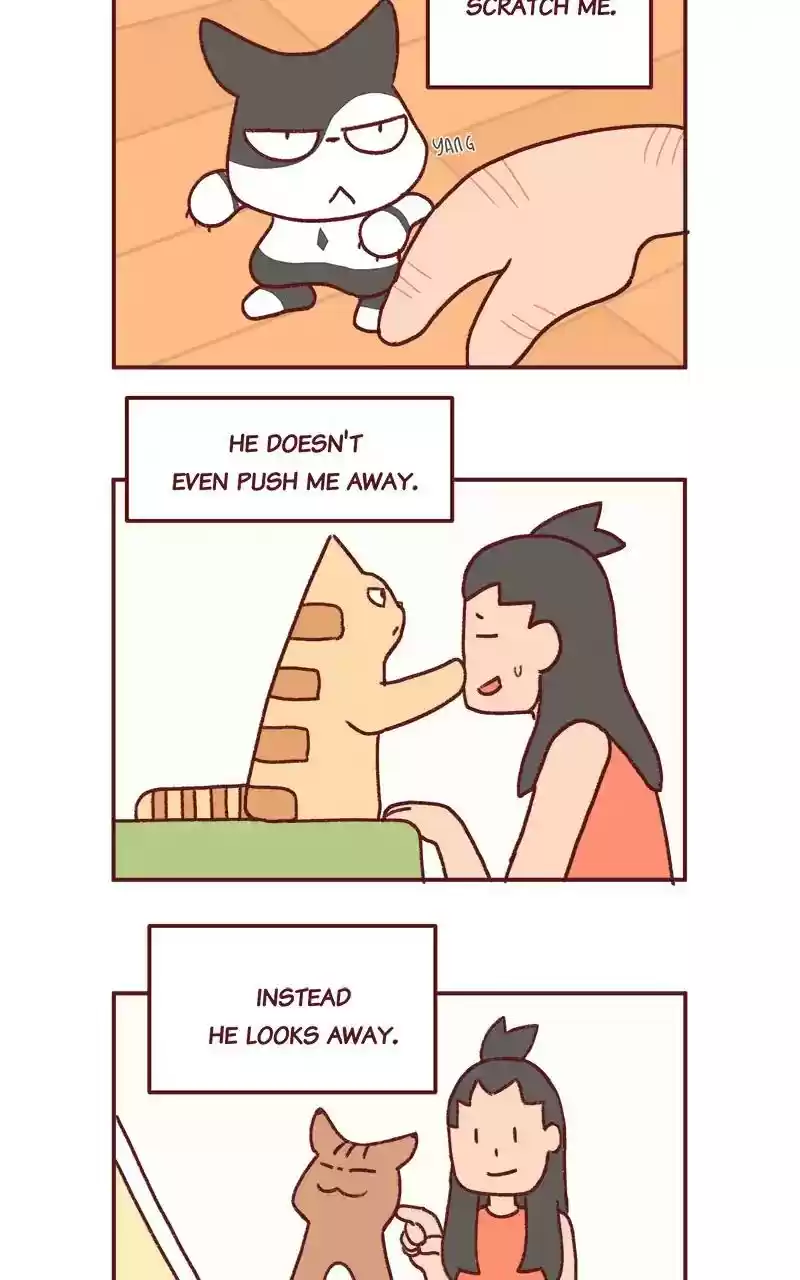 Saphie: The One-Eyed Cat Chapter 282: