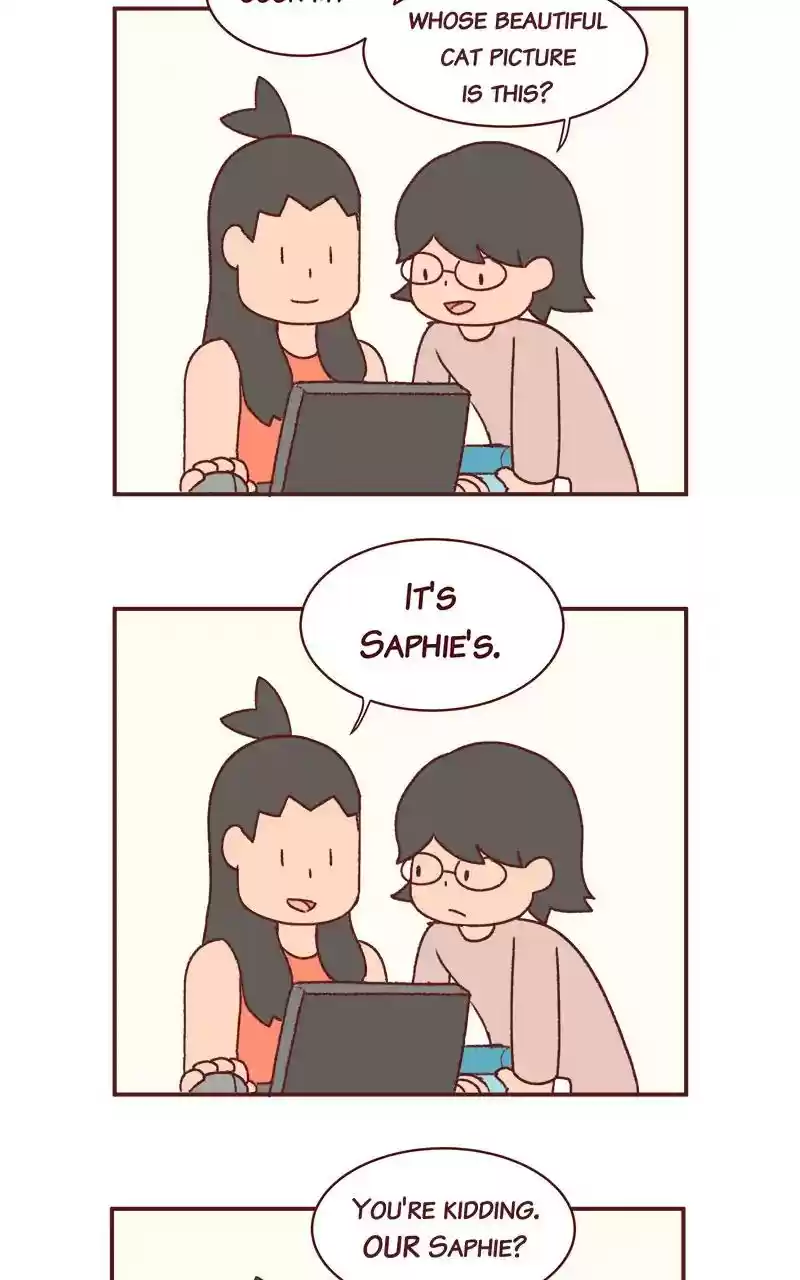 Saphie: The One-Eyed Cat Chapter 283:
