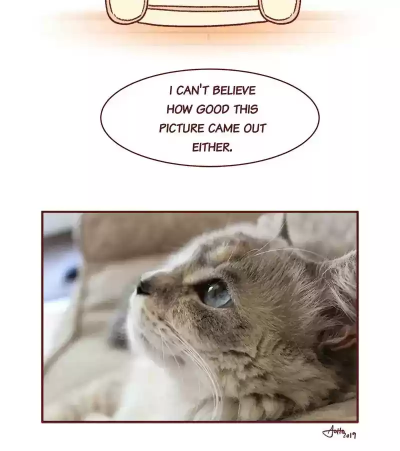 Saphie: The One-Eyed Cat Chapter 283: