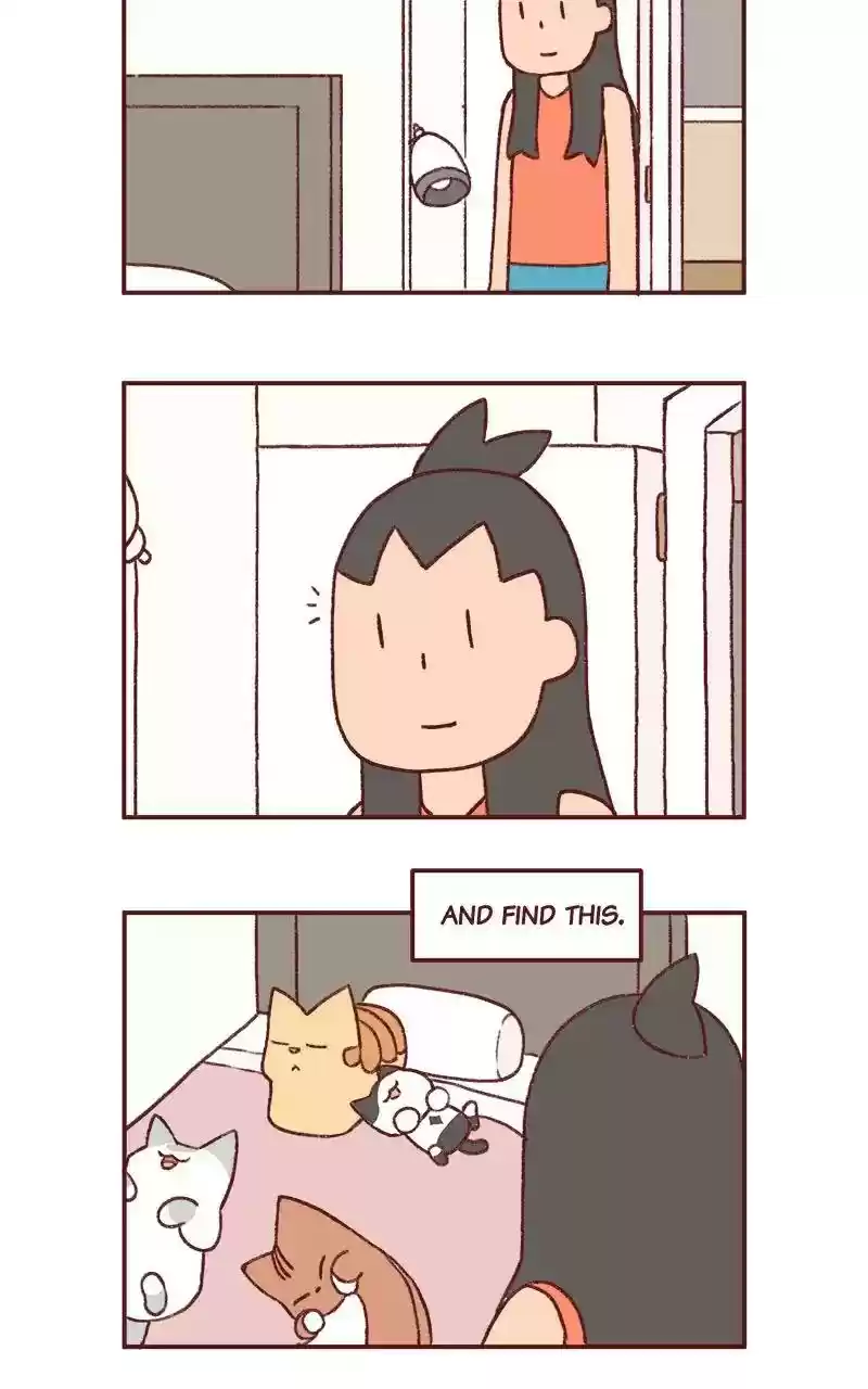 Saphie: The One-Eyed Cat Chapter 284: