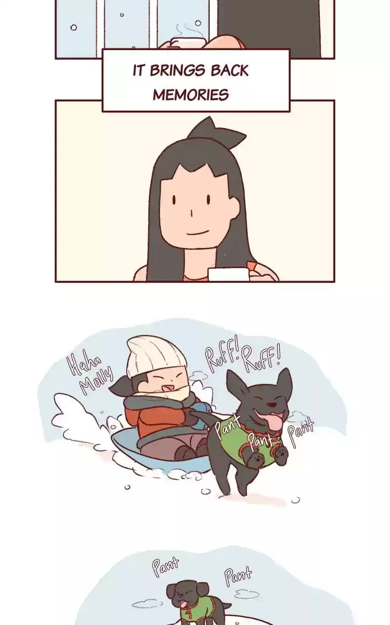 Saphie: The One-Eyed Cat Chapter 286: